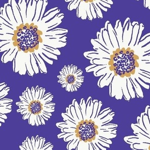 Daisy Baby wear collection - violet