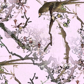 Sakura and Bird 4.1