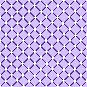 Lavender, Purple, and White Diamond Netting Blender