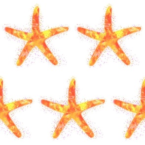 Watercolor Starfish Pattern