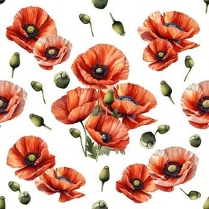 Poppy Flower Watercolor Painting | Floral Pattern | White Background