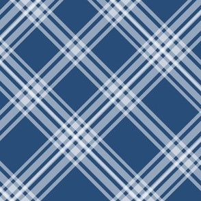 Navy Blue and White Plaid