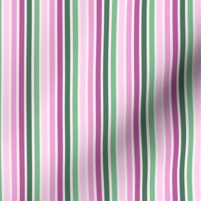 Retro Magenta and green Stripe w/tinted background