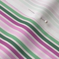 Retro Magenta and green Stripe w/tinted background