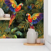 Tropical Rainbow Parrots Playing