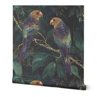Parrots in the Evening Jungle