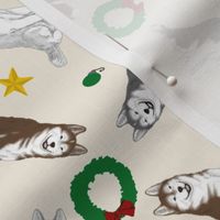 Tiny Siberian Husky - Christmas