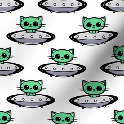 CAT flying in UFO 