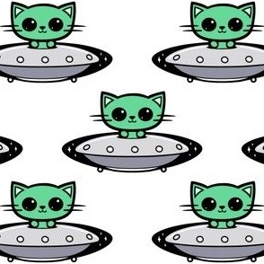 CAT flying in UFO 