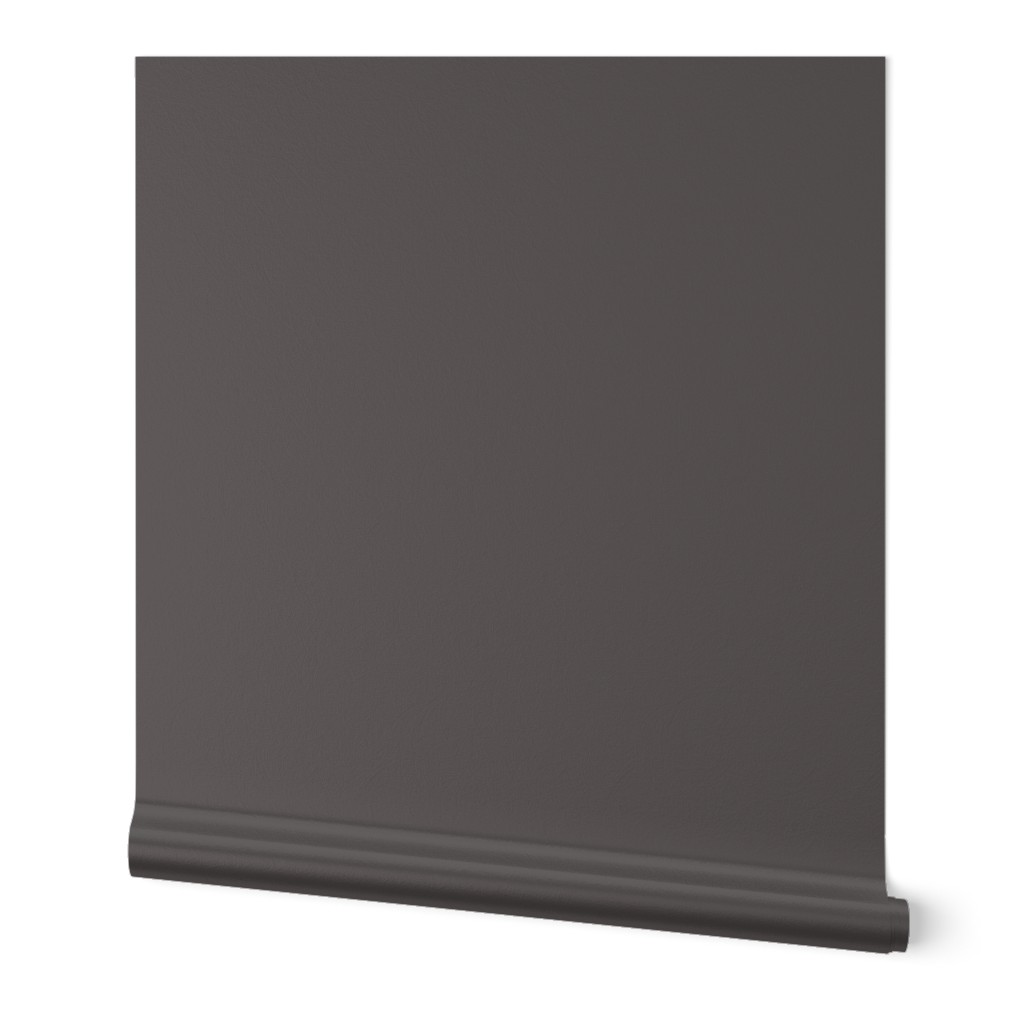 Ash Gray Solid 544c4a