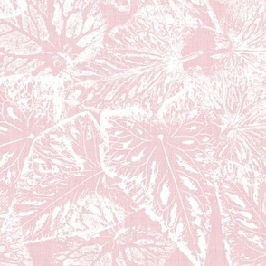 Buckwheat Leaf Prints in White on Cotton Candy