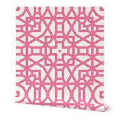 Preppy pink bamboo lattice