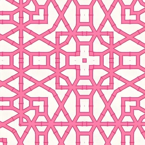 Preppy pink bamboo lattice