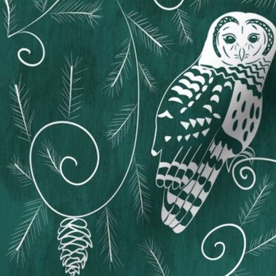 Evergreen owl forest - barred owls