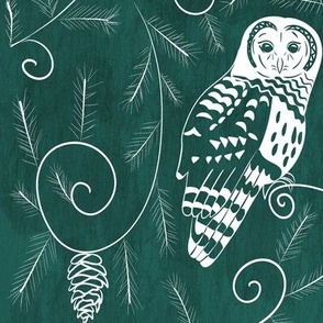 Evergreen owl forest - barred owls