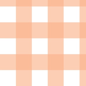 Peach Gingham - Large (2024 COTY collection)