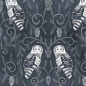 Owl Forest - Barred Owls - dark blue grey background