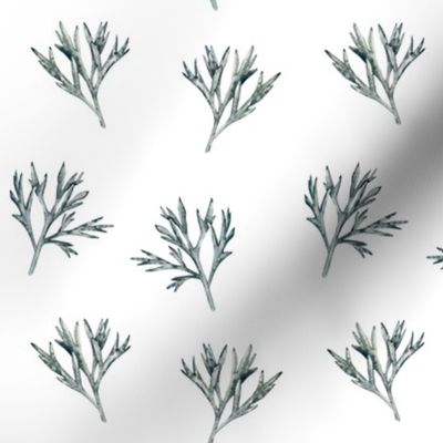 Gray twigs. Hand drawn black and white watercolor leaves