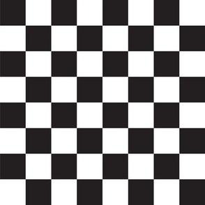 Traditional Black and White Checkerboard With 1 Inch Squares