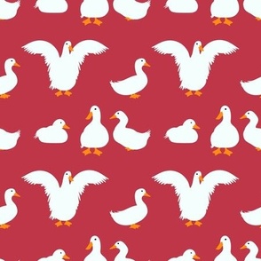 Ducks - Red