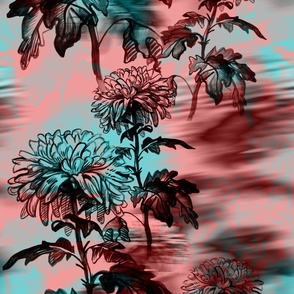 Chrysanthemum  blurred vision.