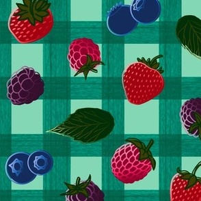 Berry Checkerboard - Teal Background