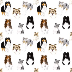 Everything Sheltie (multiple colors)