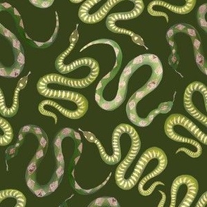 Small Green and Gold Leaf Snakes on Forest Green
