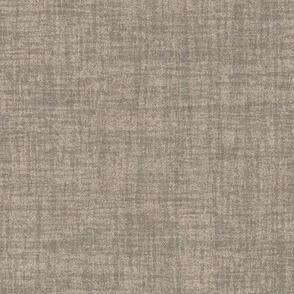 Celebrate Color Natural Texture Solid Beige Plain Beige Neutral Earth Tones _Indian River Taupe Brown Gray ADA290 Subtle Modern Abstract Geometric