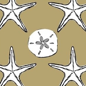 Starfish and Sand Dollar Drawing Pattern