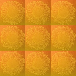 Tangerine Dream Sunflower