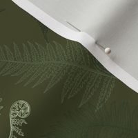 Mistery Forest Fern // Normal Scale //Forest Fern // Dark Green // Dark Olive Background