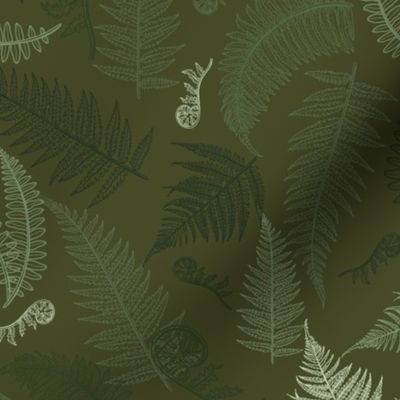 Mistery Forest Fern // Normal Scale //Forest Fern // Dark Green // Dark Olive Background