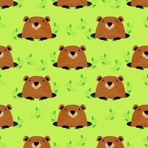 Adorable Woodland Groundhog Pattern