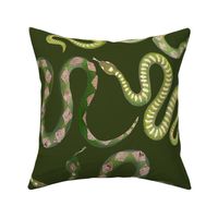 Large Green and Gold Leaf Snakes on Forest Green