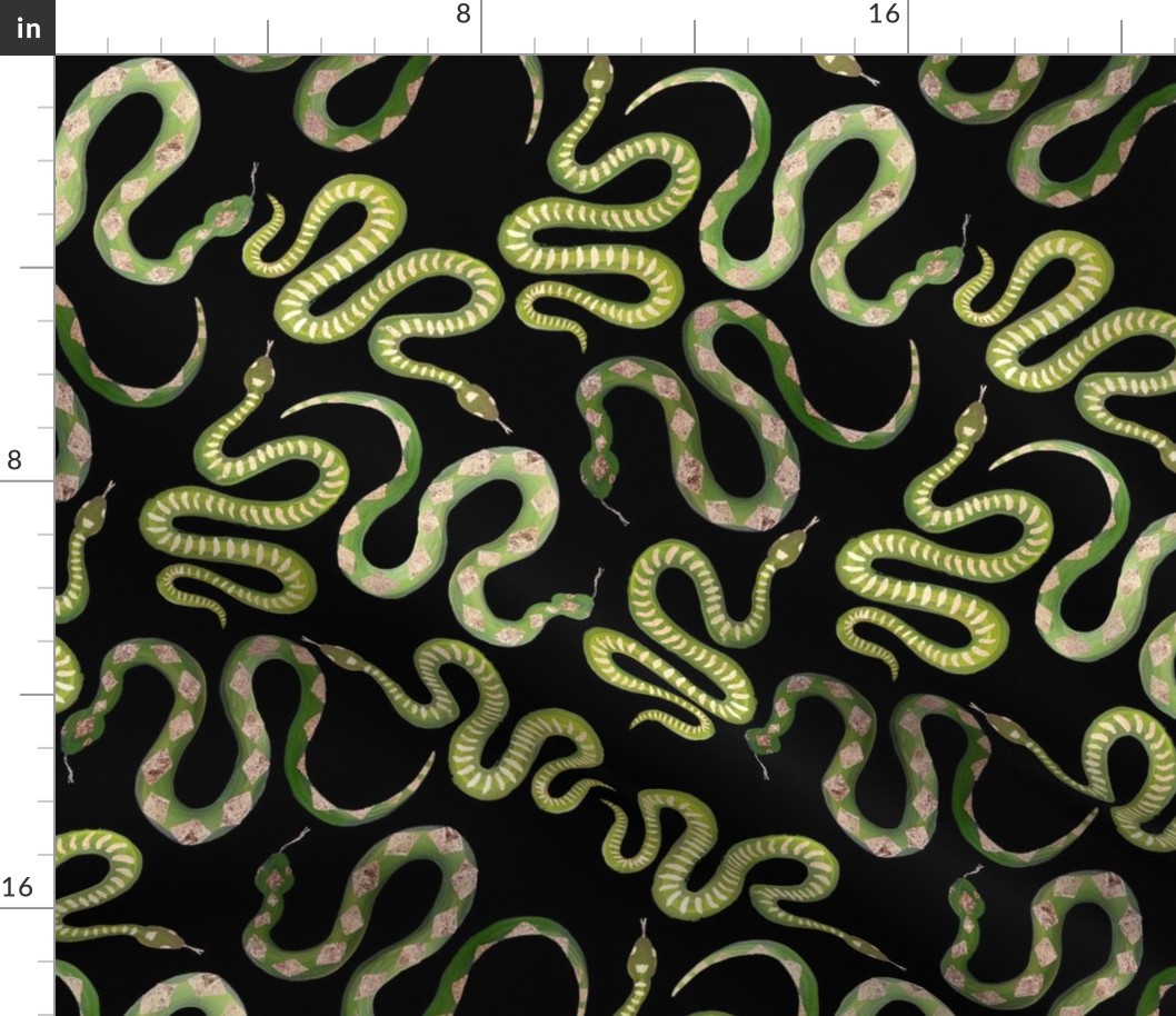 Large Green and Gold Leaf Snakes on Solid Black