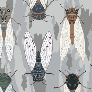 Cicada Symphony