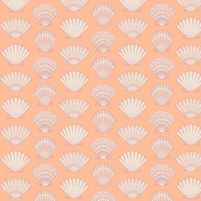 Decorative Seashells Peach