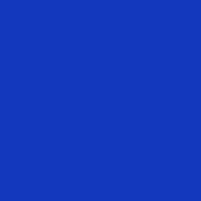Cobalt Blue Solid 1338b3