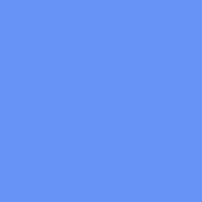 Cornflower Blue Solid 6693f5
