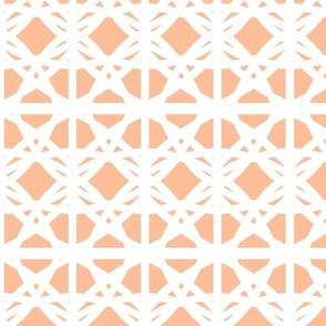 Peach Fuzz Boho Macrame Lace Geometric in Pantone's Peach Fuzz and White - Jumbo - Boho Peach, Retro Orange, Seventies Kitsch