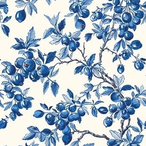 Toile de Jouy Blueberries for Sal