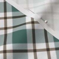  gray green checkered pattern on white diagonal