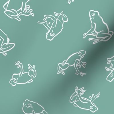 White line frogs - mint green