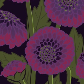 Black Dahlias on Dark Purple
