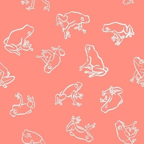 White frogs pink bg block