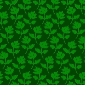 Cilantro dark green