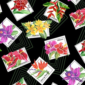 medium-Tropical Floral Postcards-on black