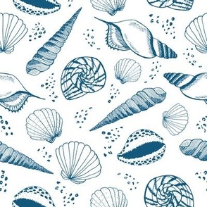 Seashell ✦ Ocean Shell (blue and white)