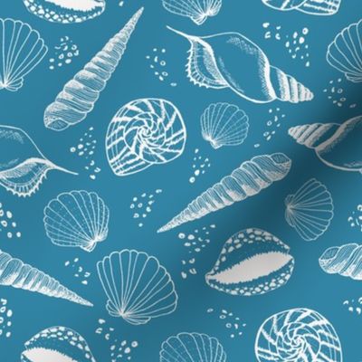 Seashell ✦ Ocean Shell (blue)